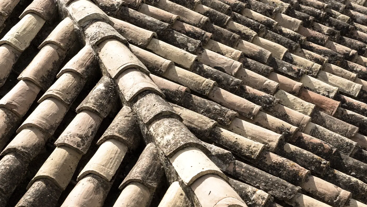 Clay roof tiles laid in courses, seen from above